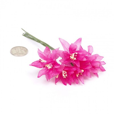  "Magic 4 Hobby" ( .) (,  1)