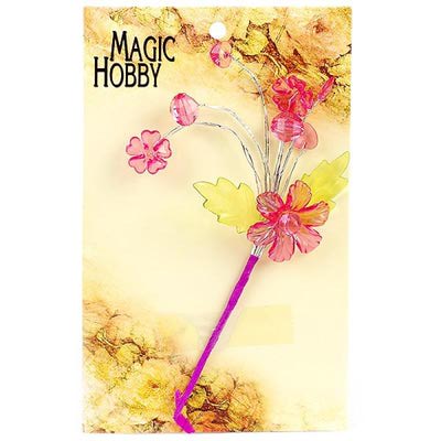   "Magic Hobby" (,  1)