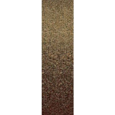  Alize Raindow 1010