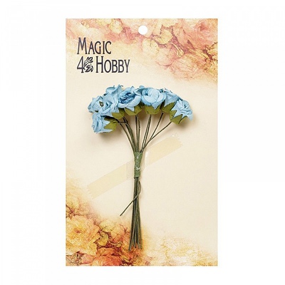  "Magic 4 Hobby" ( .)