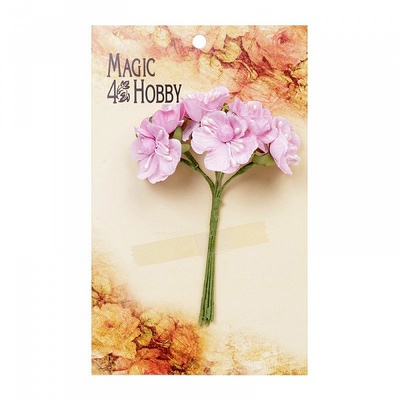  "Magic 4 Hobby" ( .)