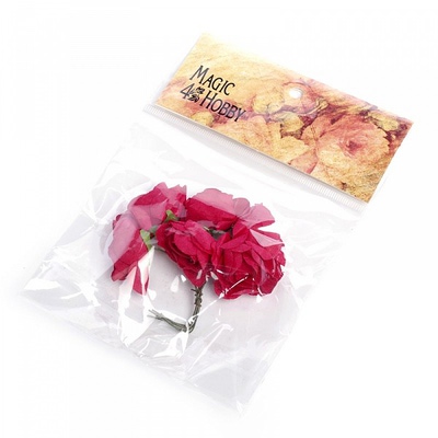  "Magic 4 Hobby", . 6 . (. )