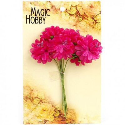   "Magic Hobby"