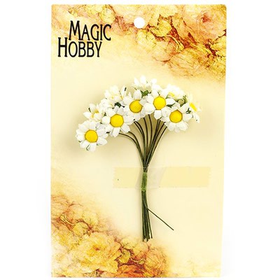   MAGIC HOBBY .10