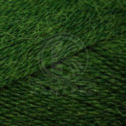 Пряжа Камтекс Воздушная (25% меринос, 25% шерсть, 50% акрил) 5х100г/370м цв.110 зеленый