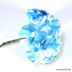  "Magic 4 Hobby" ( .)