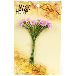   MAGIC HOBBY .12