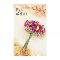  "Magic 4 Hobby" (. 6)