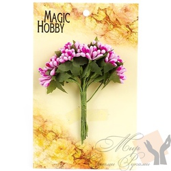   MAGIC HOBBY .12