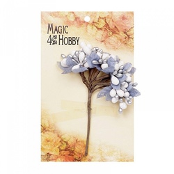  "Magic 4 Hobby" ( .)